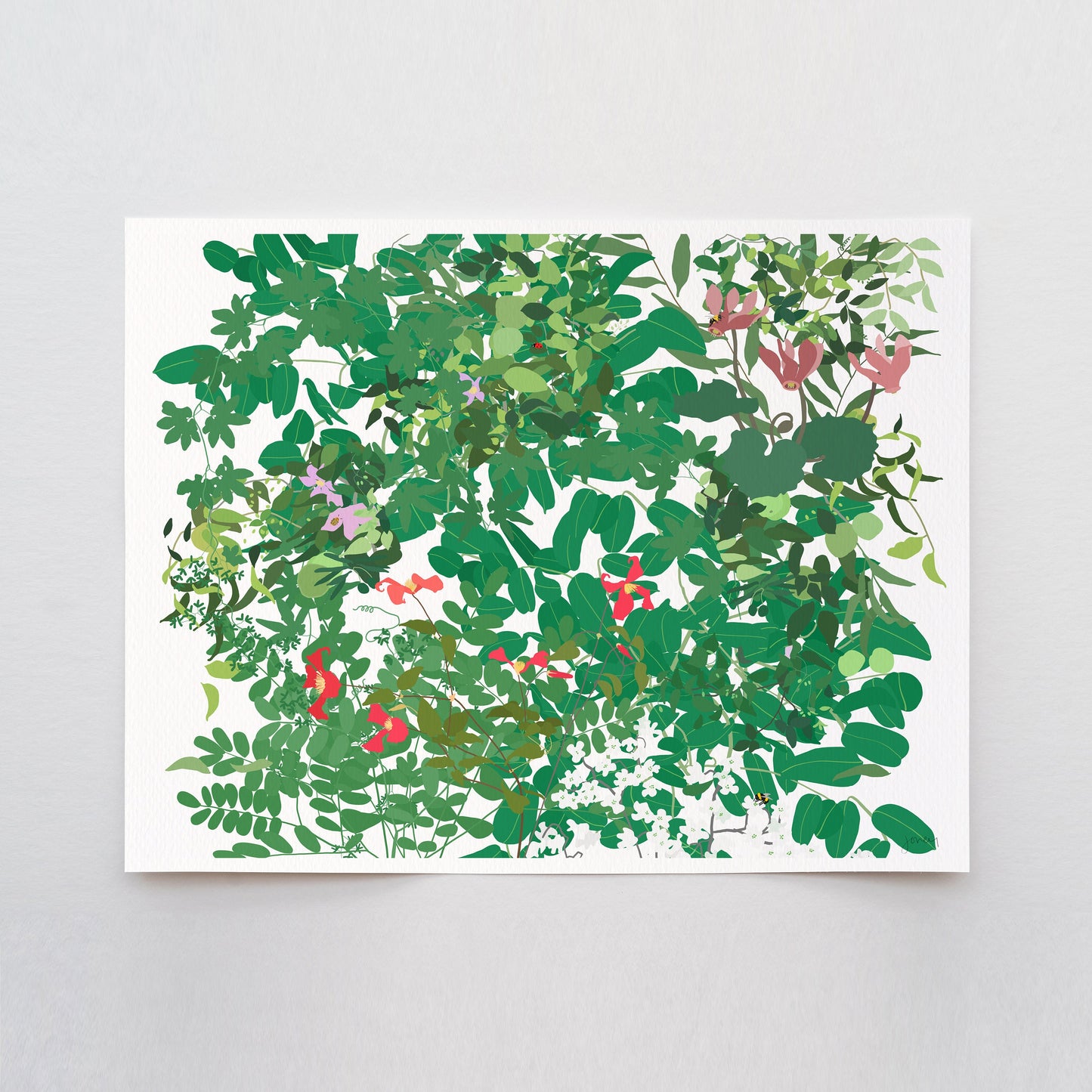 Cardinal Clematis Millefleur Art Print - Unframed or Framed - 210509