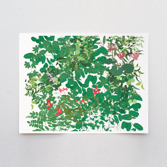 Cardinal Clematis Millefleur Art Print - Unframed or Framed - 210509