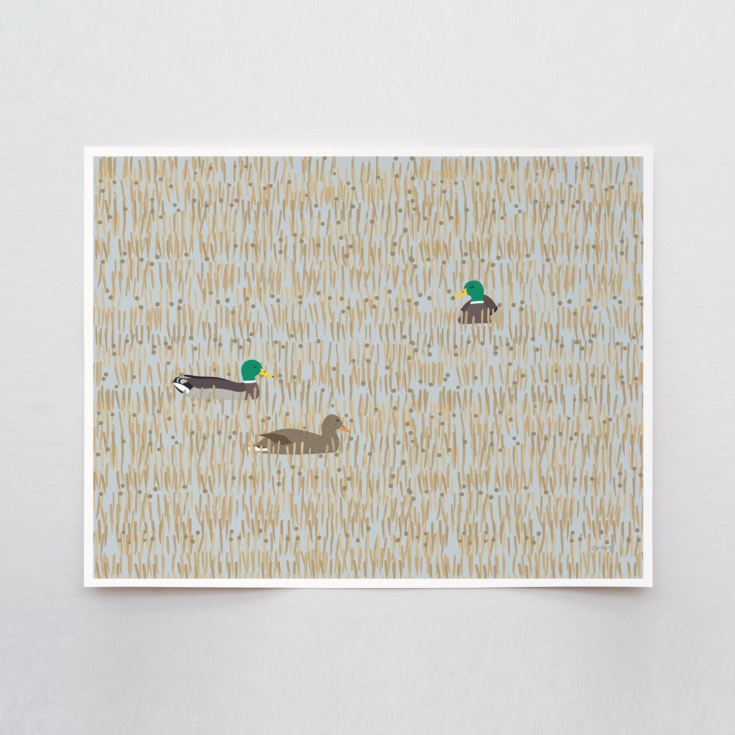 Mallards in Wetlands Art Print - Unframed or Framed - 231126