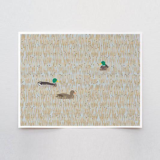 Mallards in Wetlands Art Print - Unframed or Framed - 231126