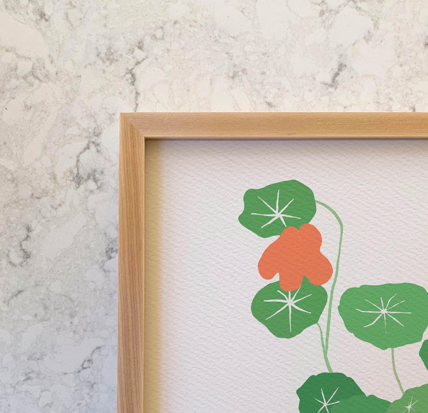 Nasturtium Plant Art Print - Unframed or Framed - 241013