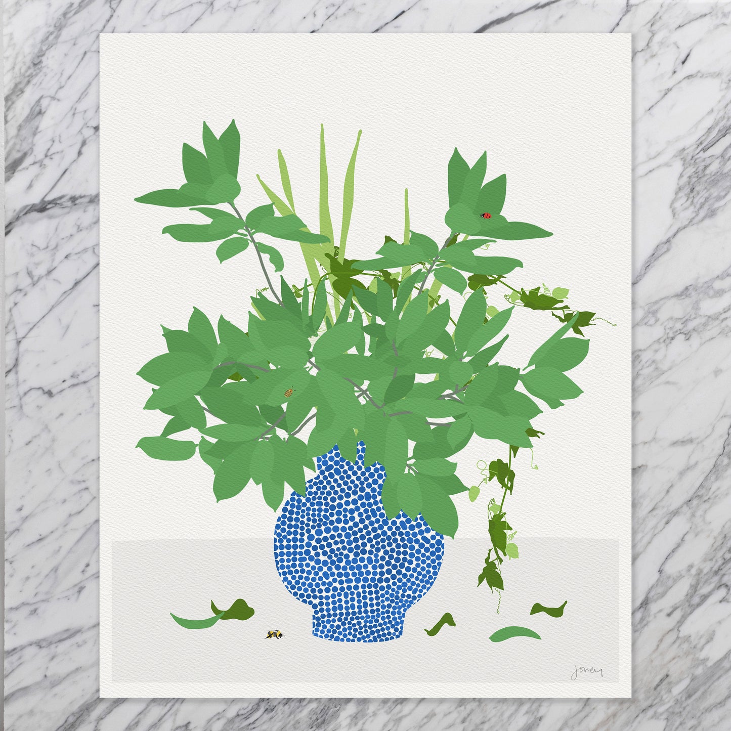 Bay Laurel Still Life Art Print - Unframed or Framed - 200219