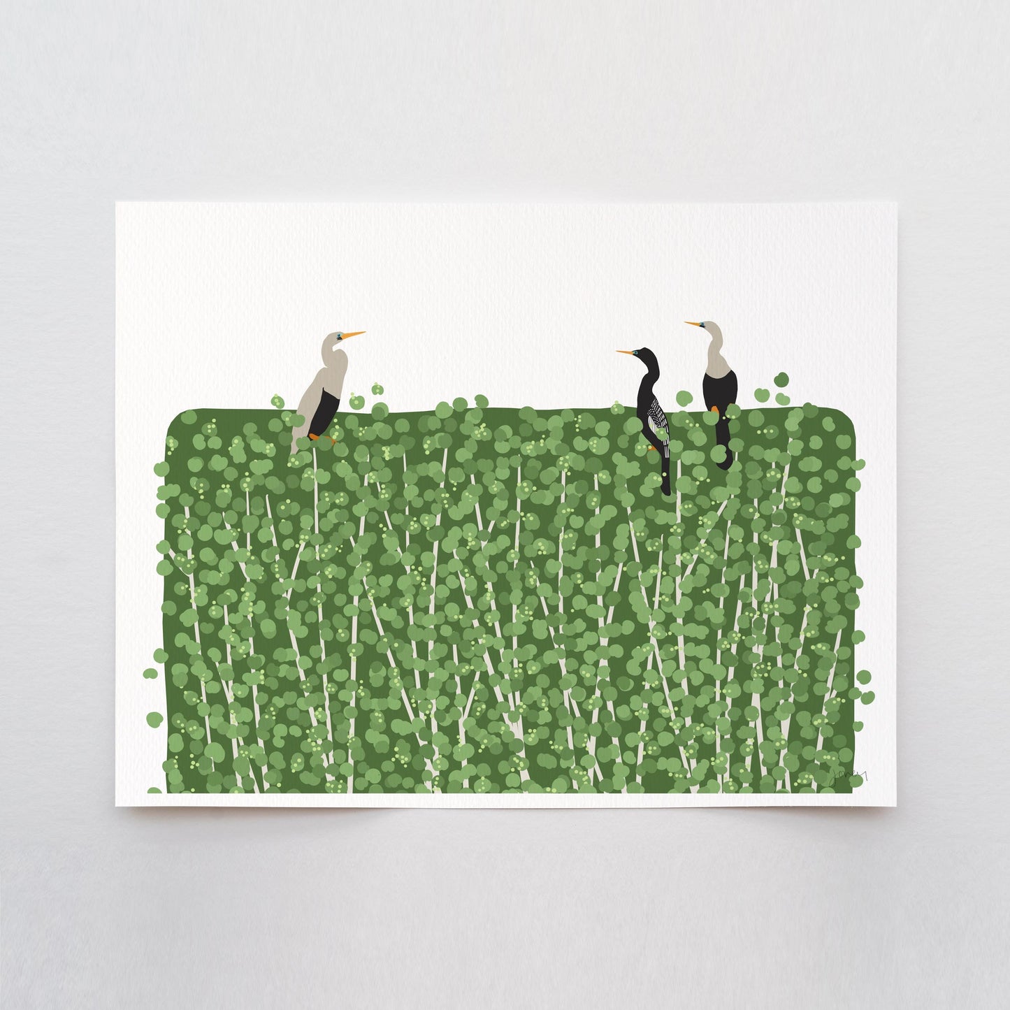Anhinga Birds Art Print - Unframed or Framed - 250323