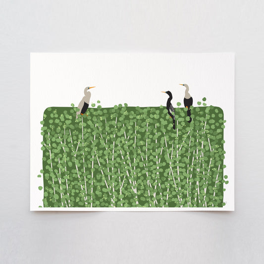 Anhinga Birds Art Print - Unframed or Framed - 250323