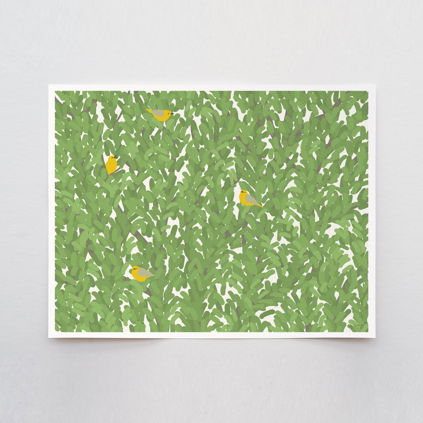 Warblers Art Print - Unframed or Framed - 141002