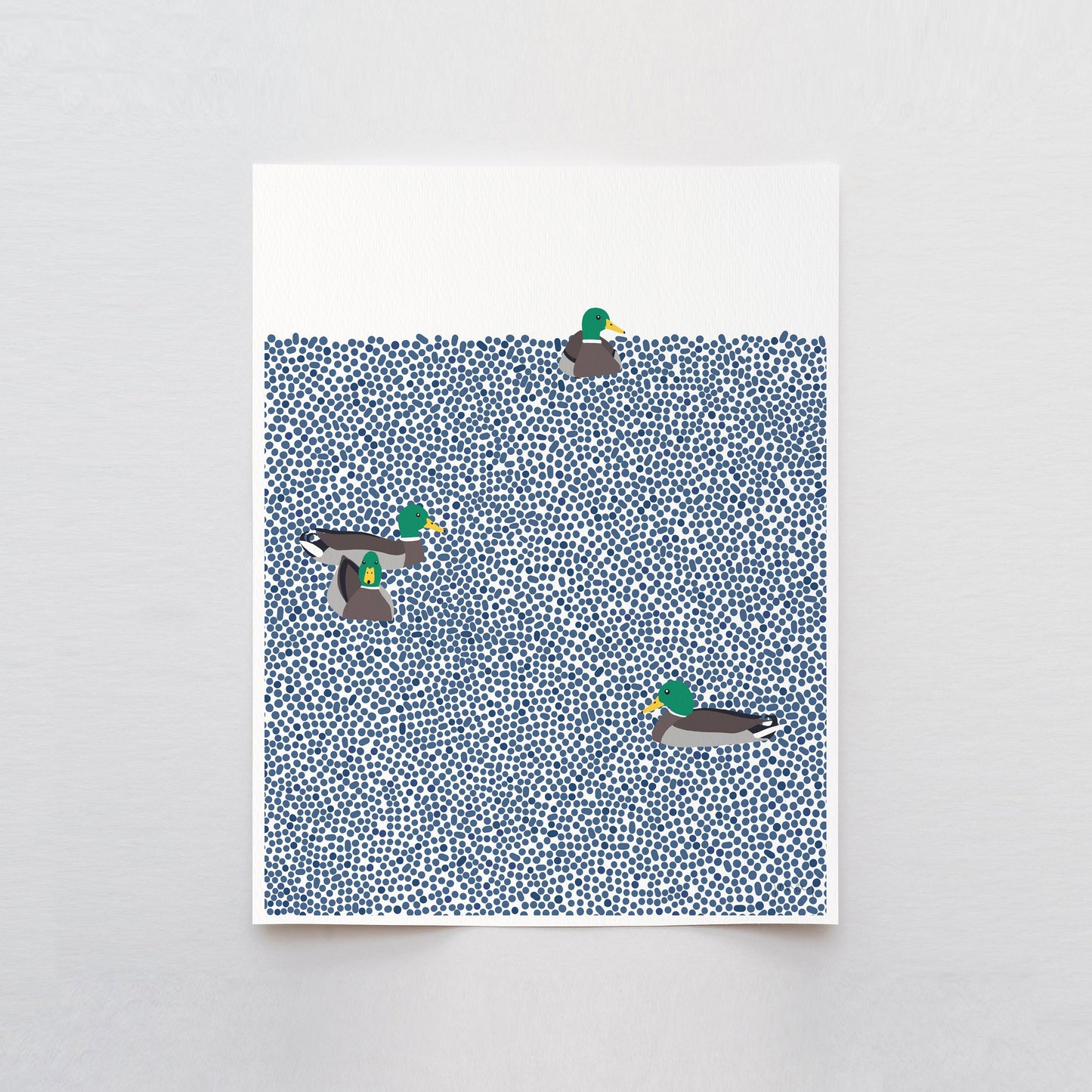 Mallards Swimming Art Print - Unframed or Framed - 231001