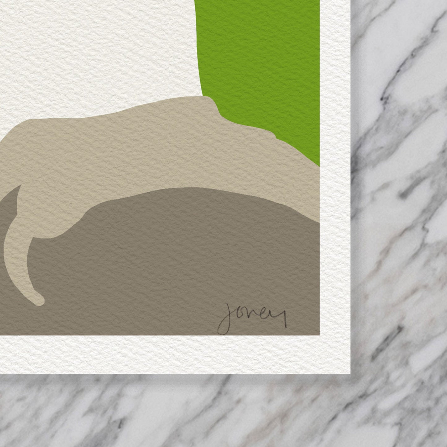 Red-headed Parrot Art Print - Unframed or Framed - 140903