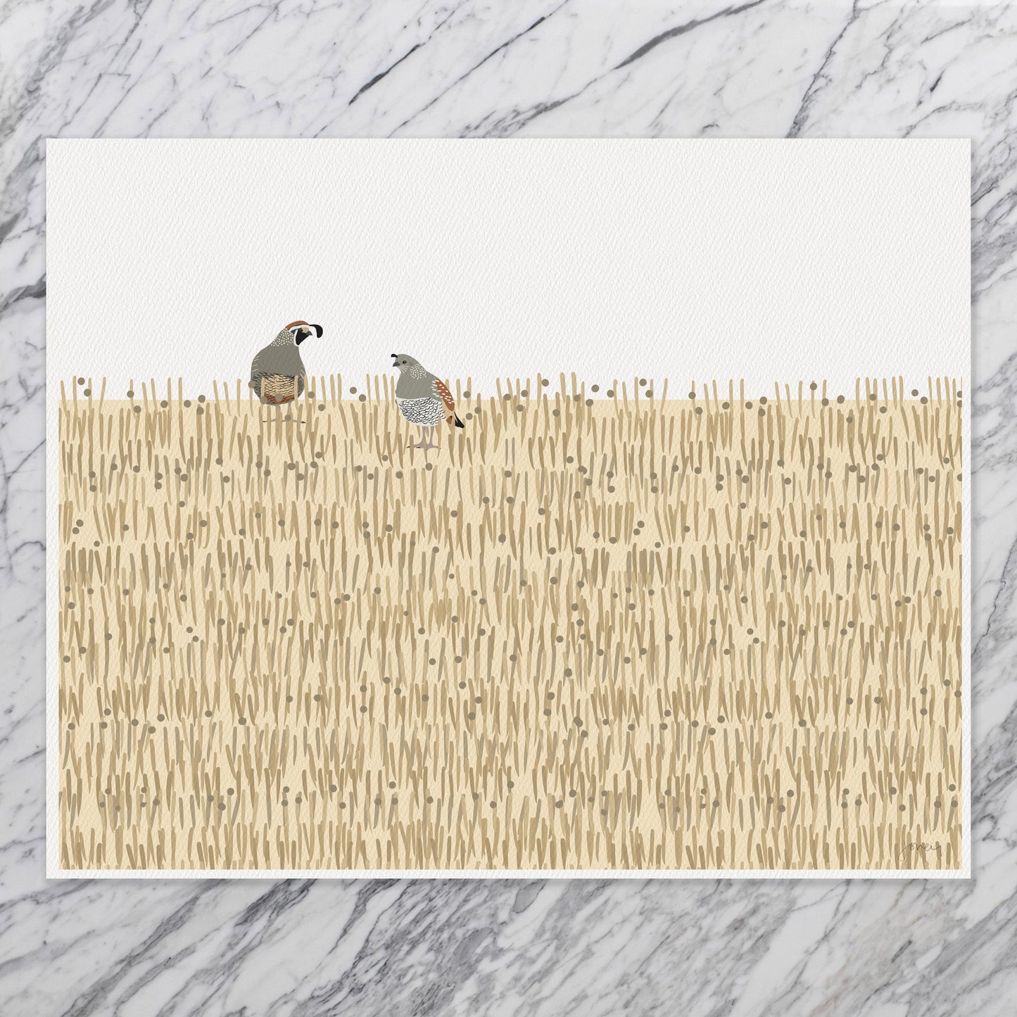 California Quail Art Print - Unframed or Framed - 250115