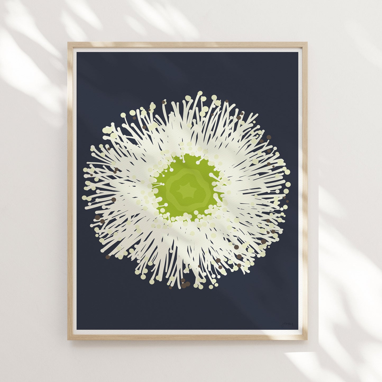 Eucalyptus Flower Art Print - Unframed or Framed - 140430