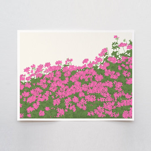 Geraniums Art Print - Unframed or Framed - 160419