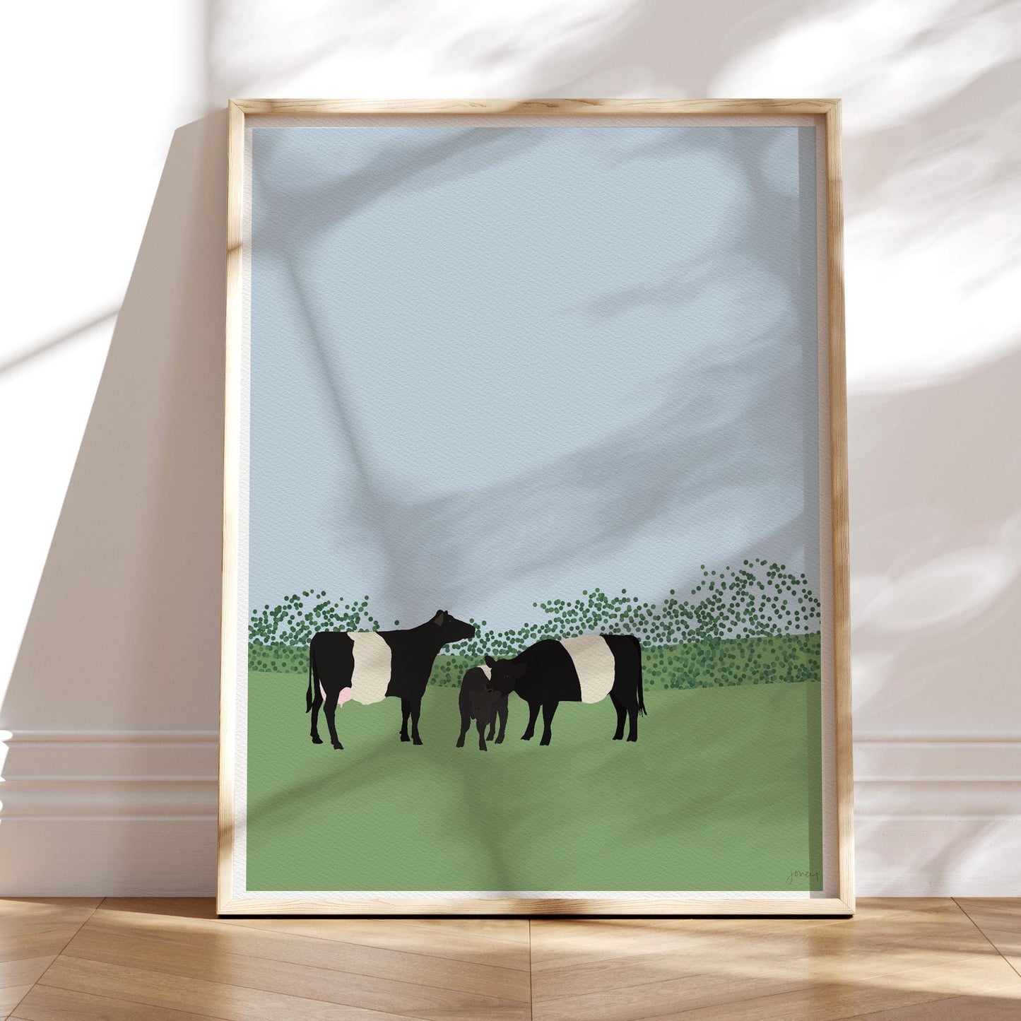 Belted Galloway Cows Art Print - Unframed or Framed - 120913