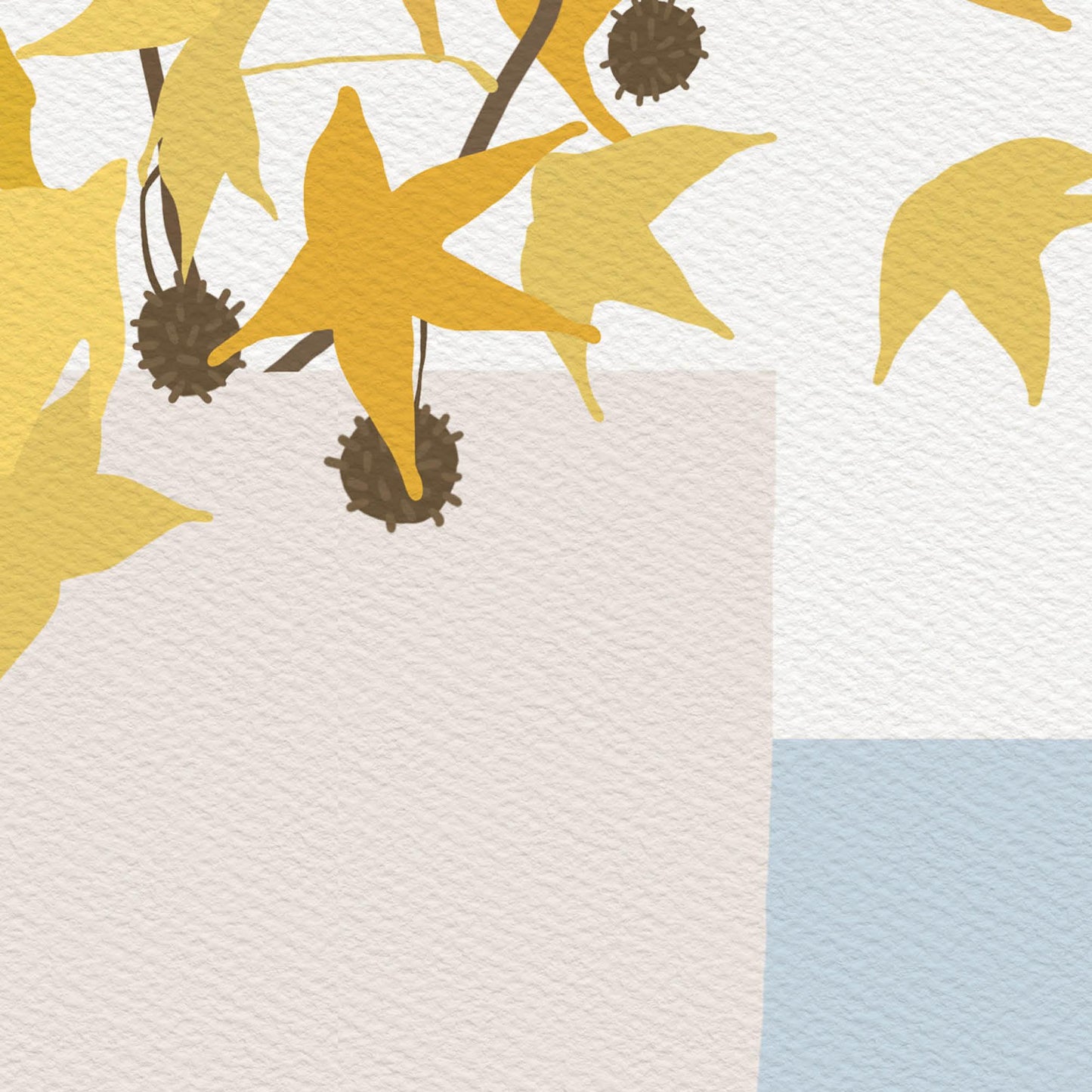 Sweet Gum Pods Abstract Still Life Art Print - Unframed or Framed - 241103