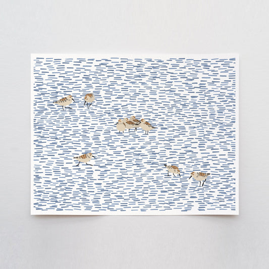 Shorebirds Art Print - Unframed or Framed - 220322