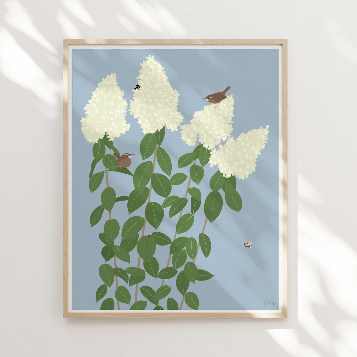 Wren with Limelight Hydrangea, signed art print - 260913