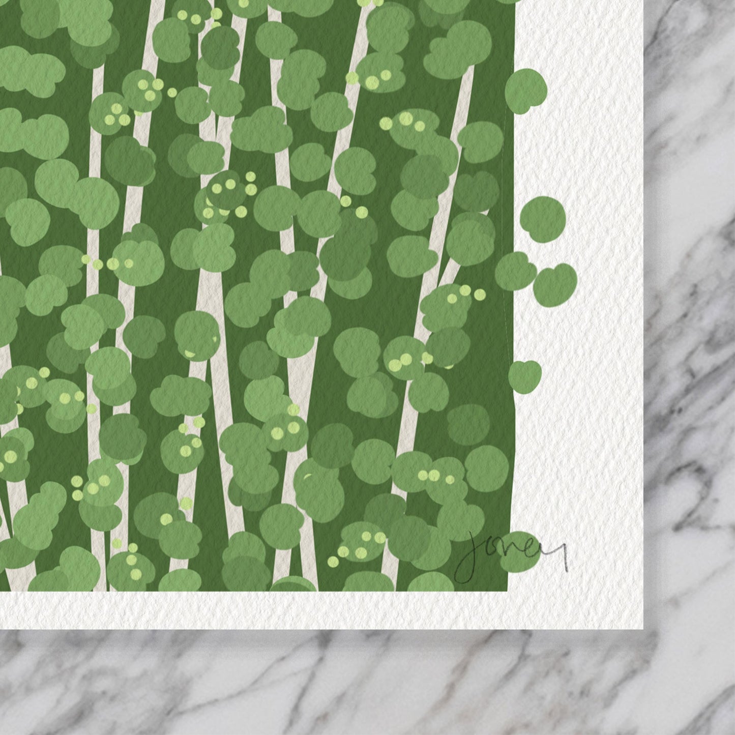 Anhinga Birds Art Print - Unframed or Framed - 250323