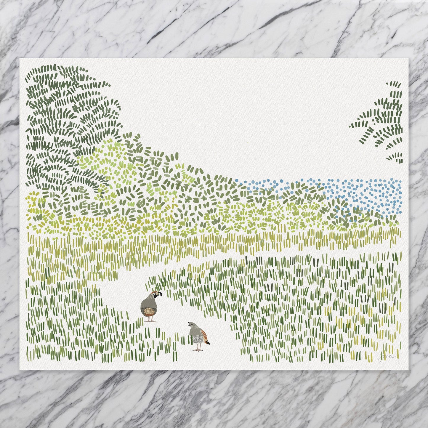 Quail on California Coast Art Print - Unframed or Framed - 240801