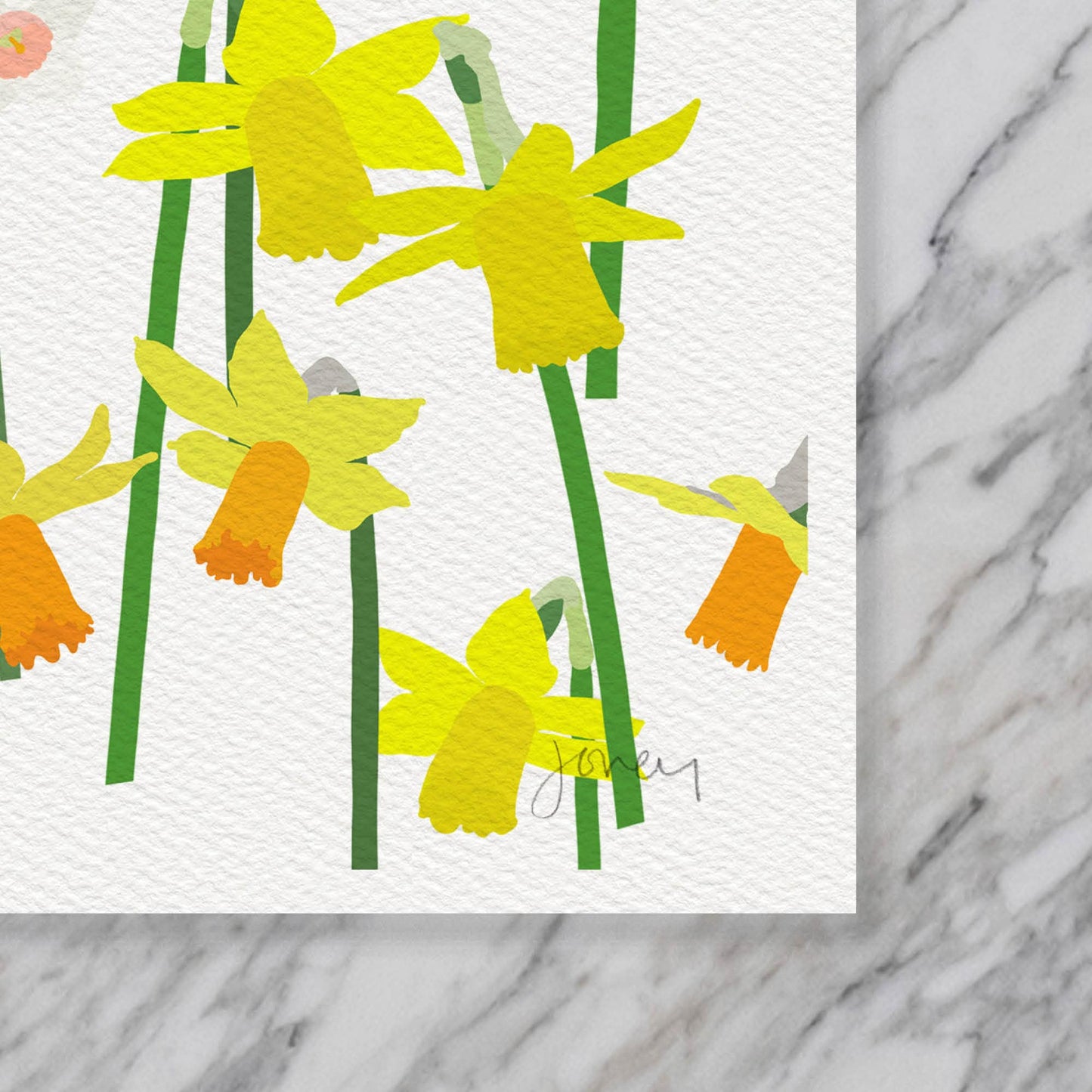Spring Flowering Daffodils Art Print - Unframed or Framed - 240407
