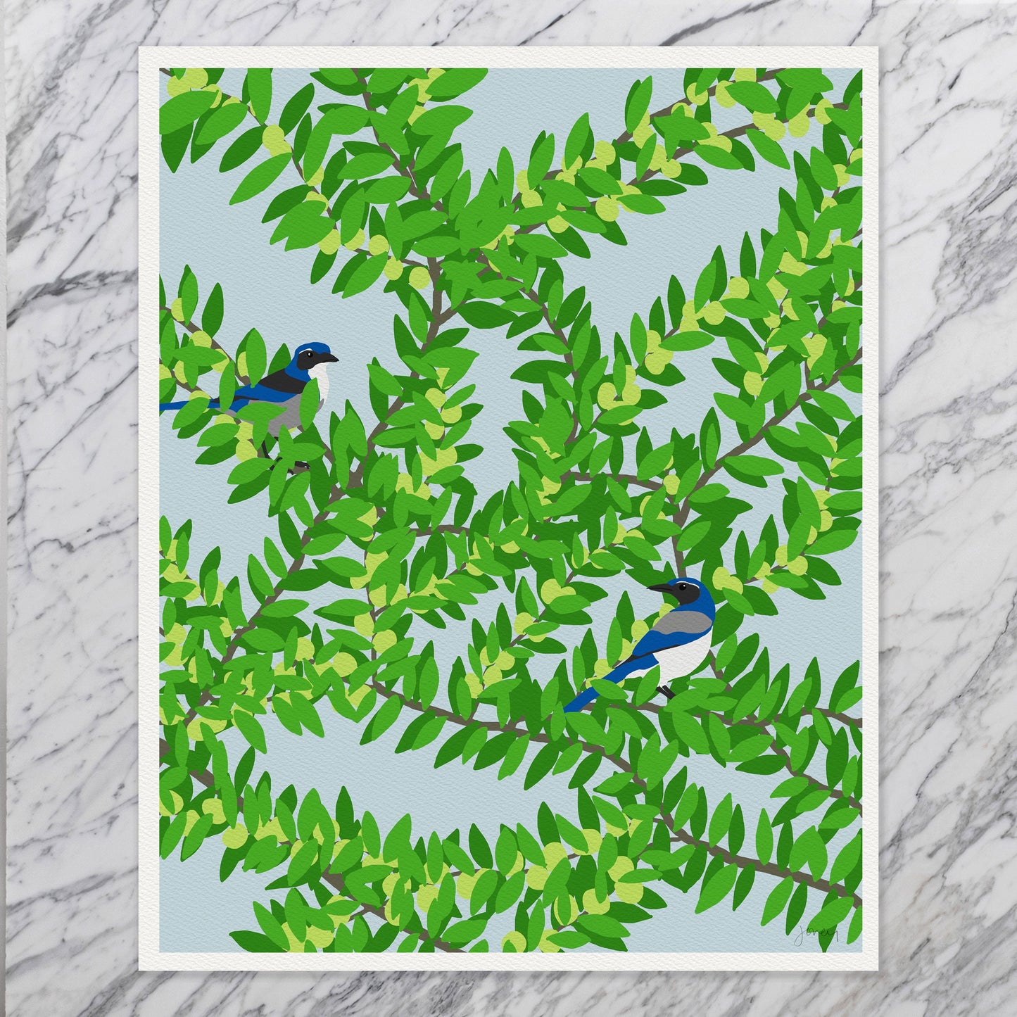 Plum Tree with Blue Jays in a Art Print - Unframed or Framed - 120626