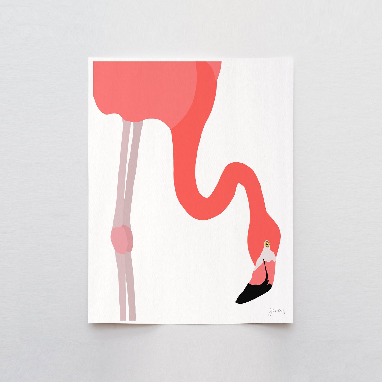 American Flamingo Art Print - Unframed or Framed - 230117