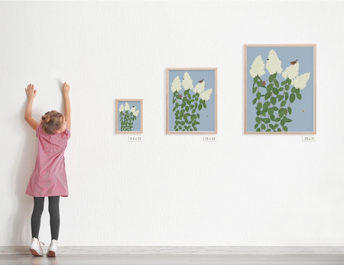 Wren with Limelight Hydrangea, signed art print - 260913