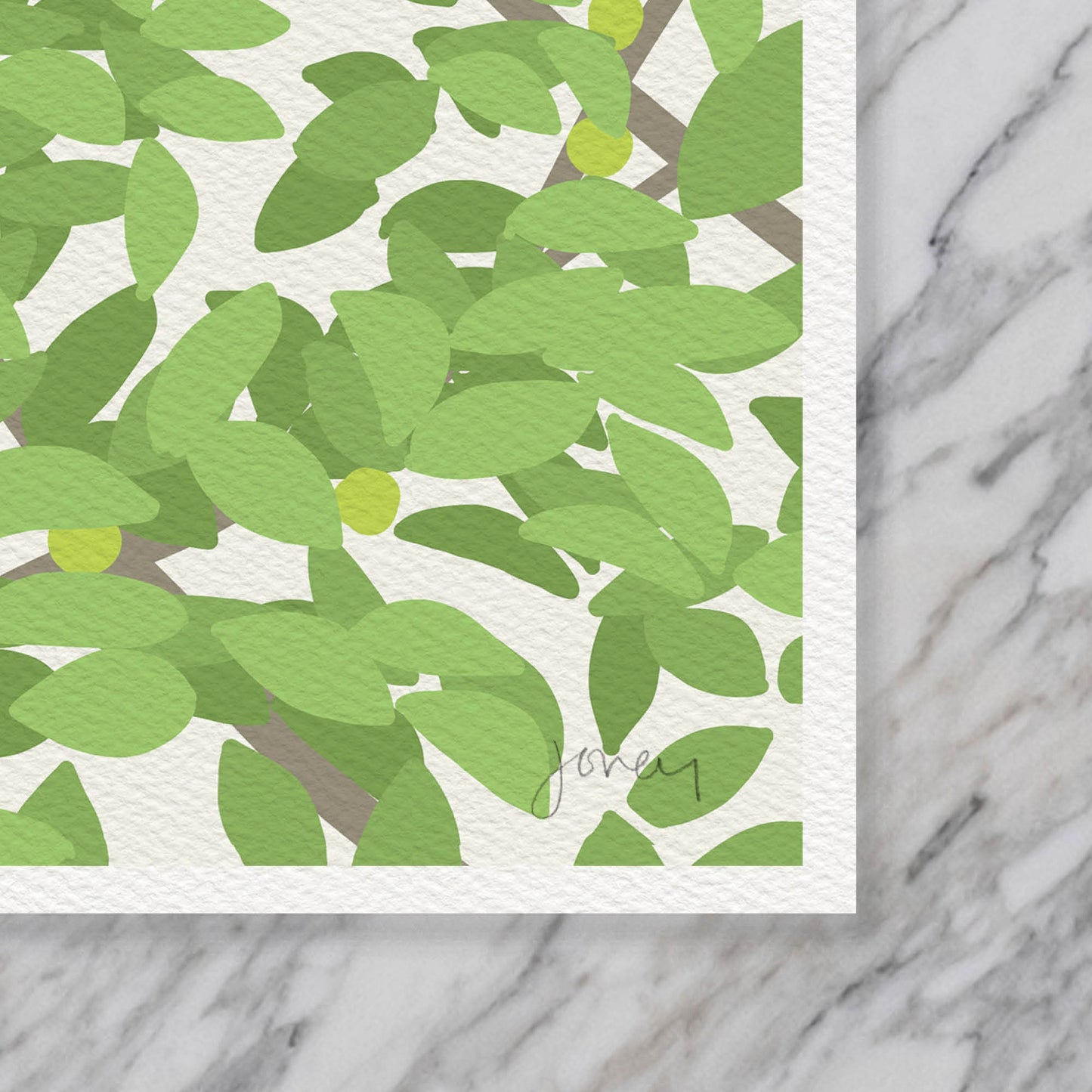 Pair of Blue Jays Art Print - Unframed or Framed - 140501