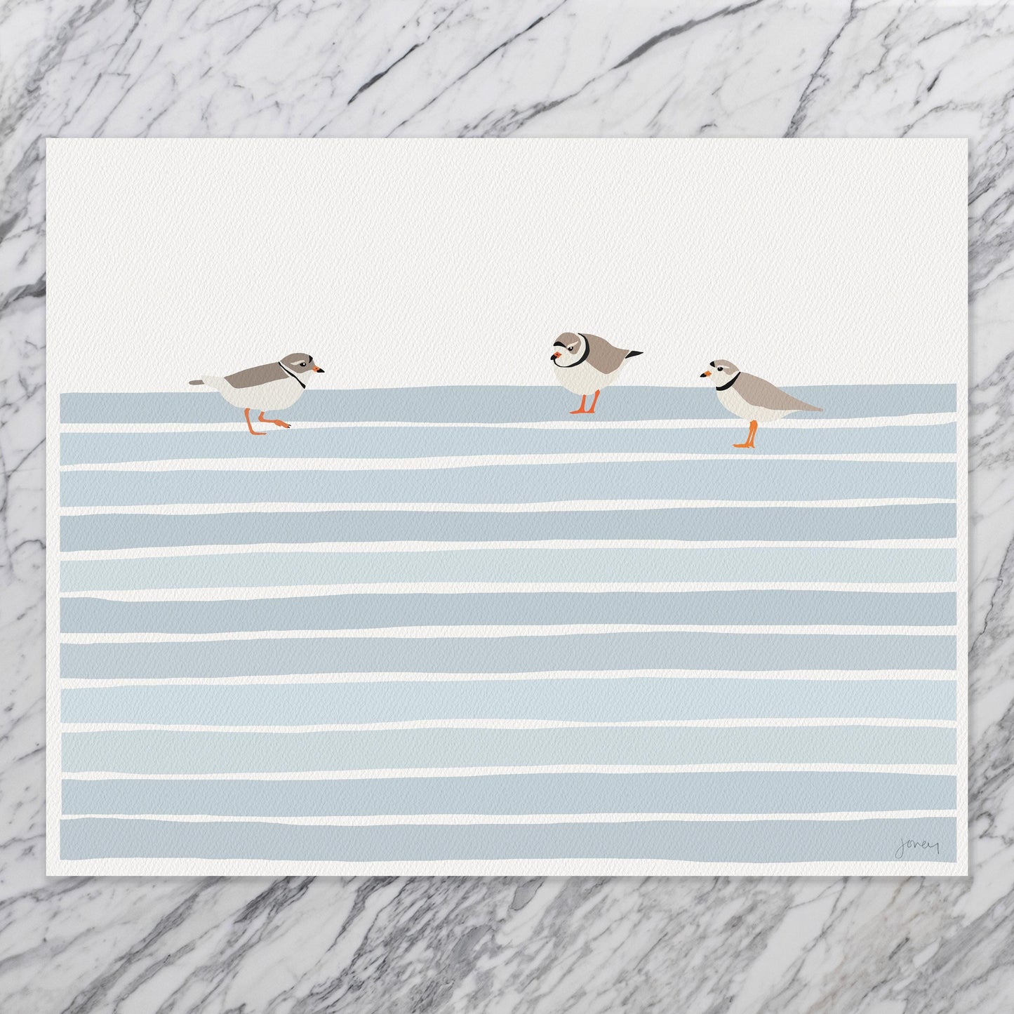 Piping Plovers Art Print - Unframed or Framed - 250608