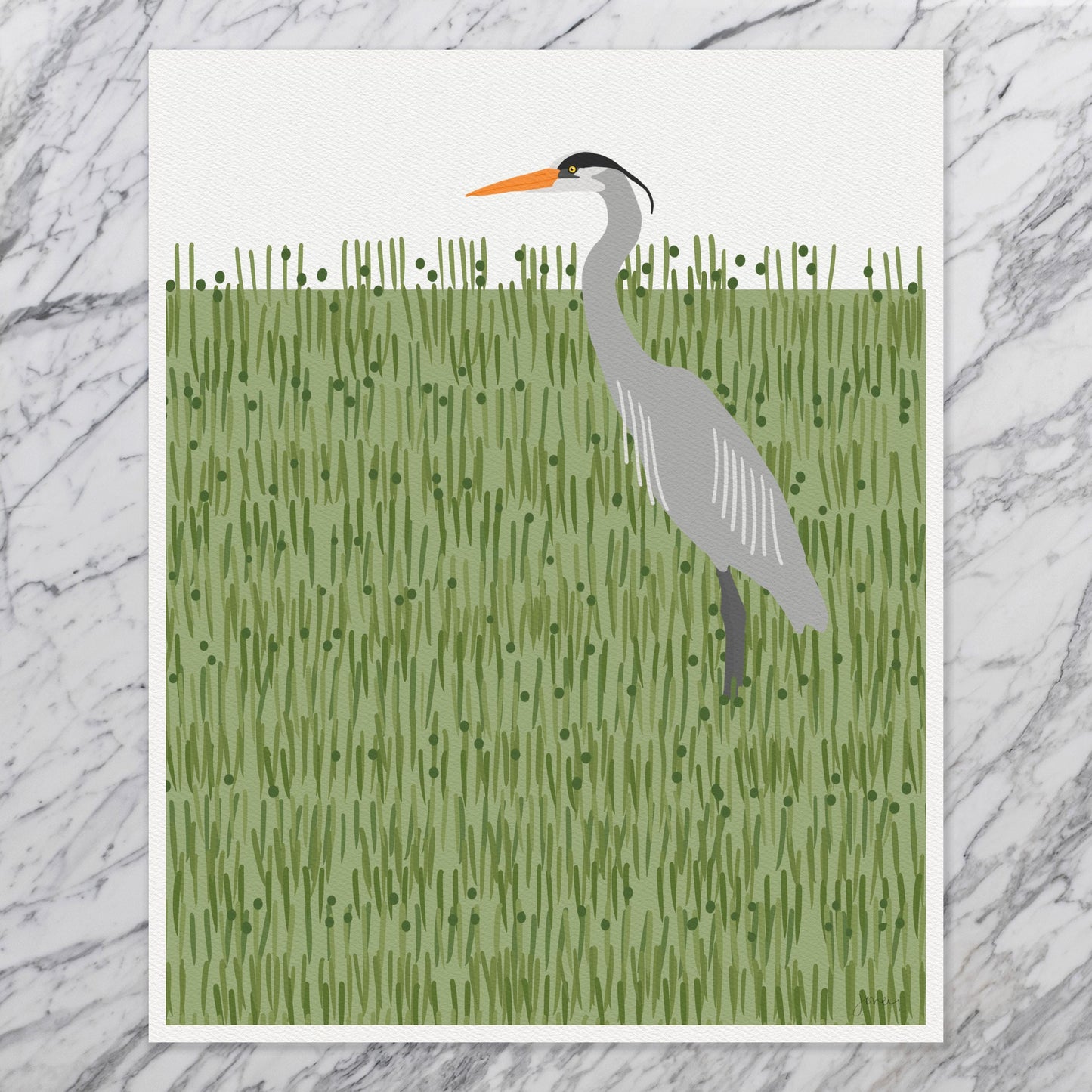 Great Blue Heron in Green Grass Art Print - Unframed or Framed - 250406