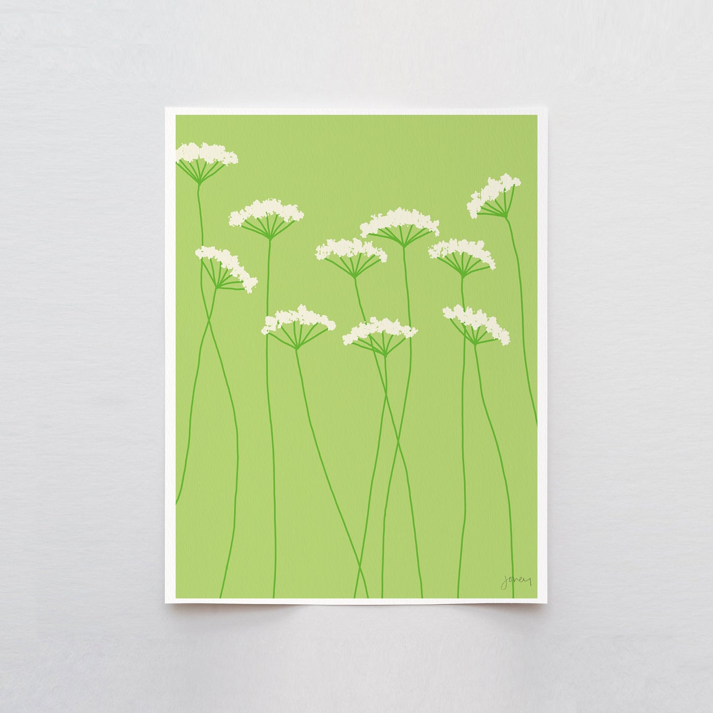 Queen Anne's Lace Art Print - Unframed or Framed - 110801