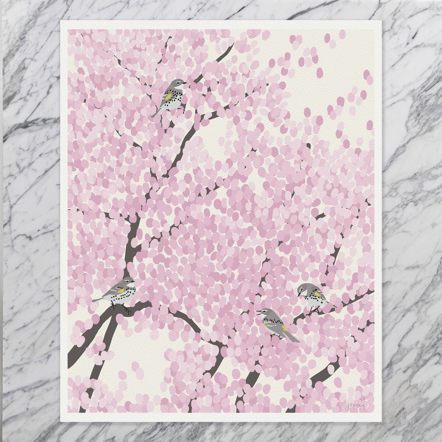 Spring Warblers in Cherry Tree Art Print - Unframed or Framed - 230422