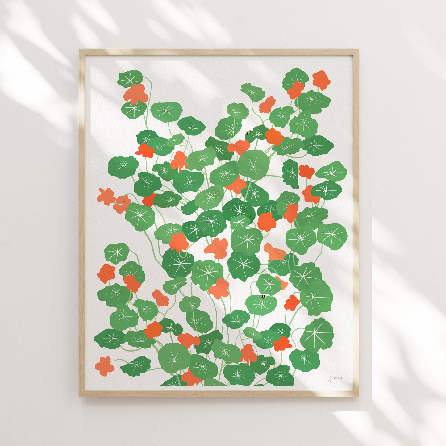 Nasturtium Plant Art Print - Unframed or Framed - 241013
