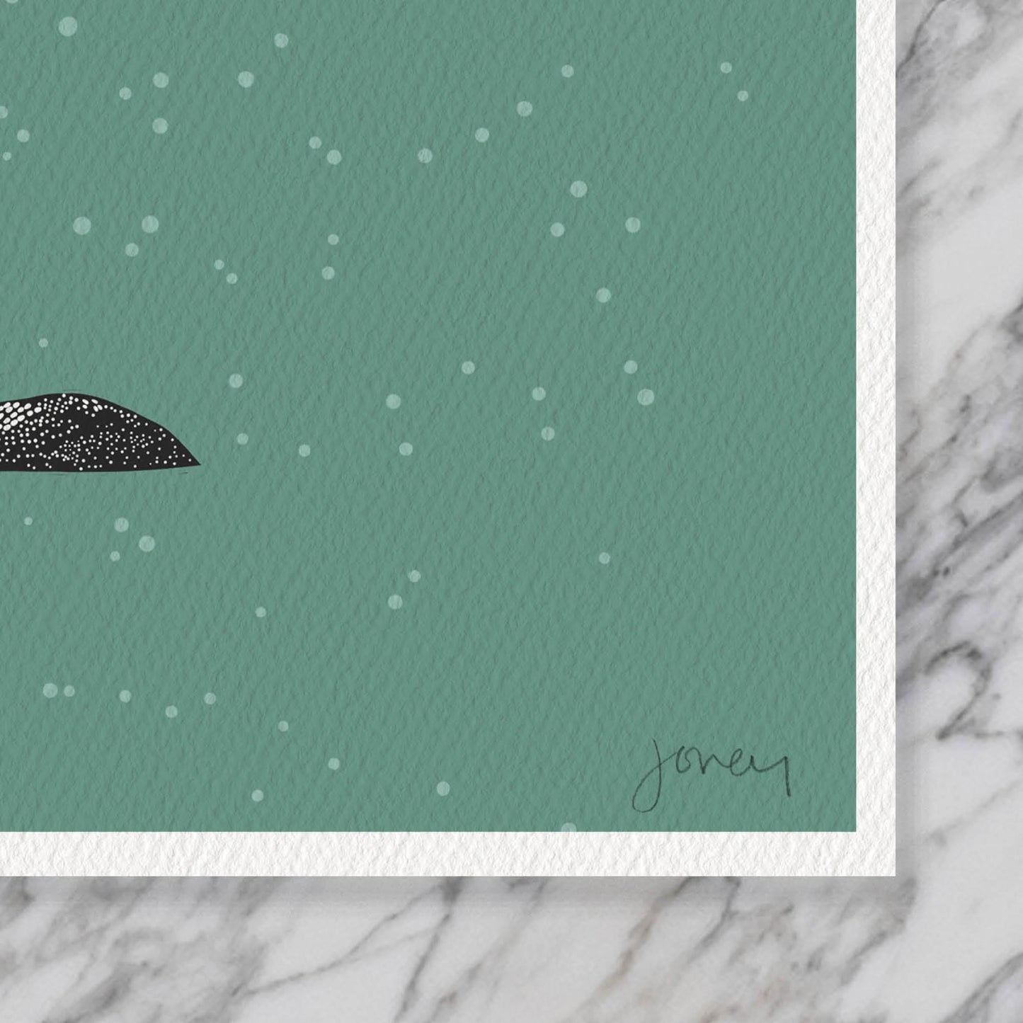 Loon Family Art Print - Unframed or Framed - 241027