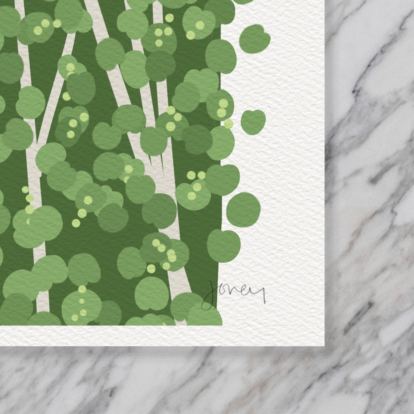 Anhingas Art Print - Unframed or Framed - 250522