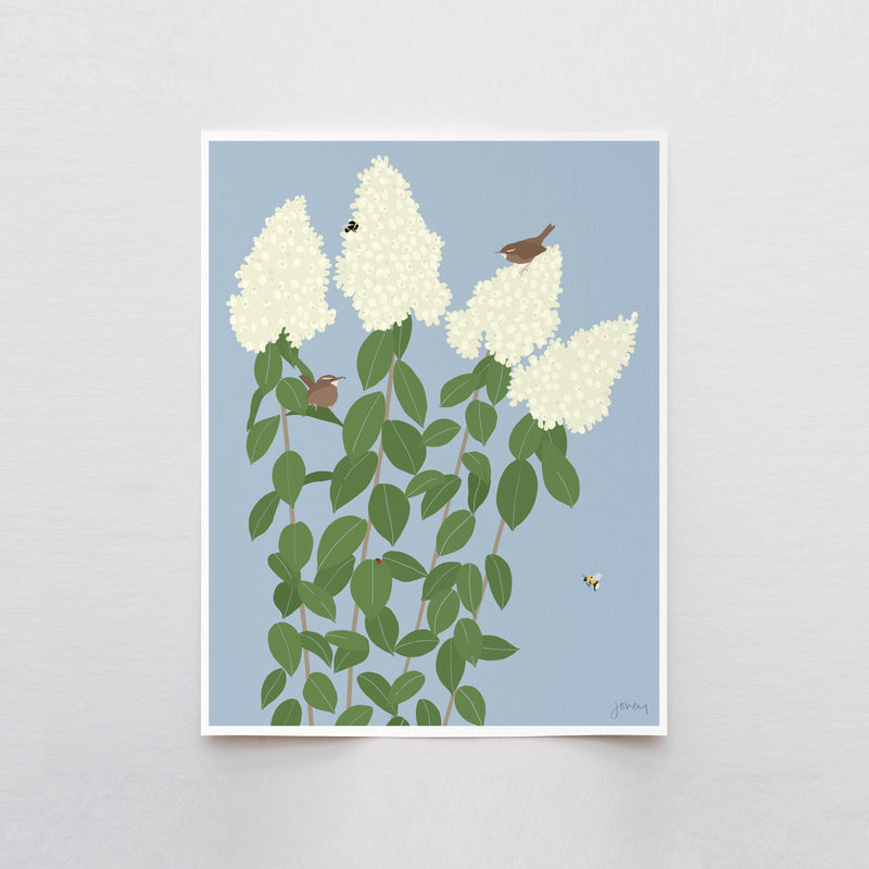 Wren with Limelight Hydrangea, signed art print - 260913