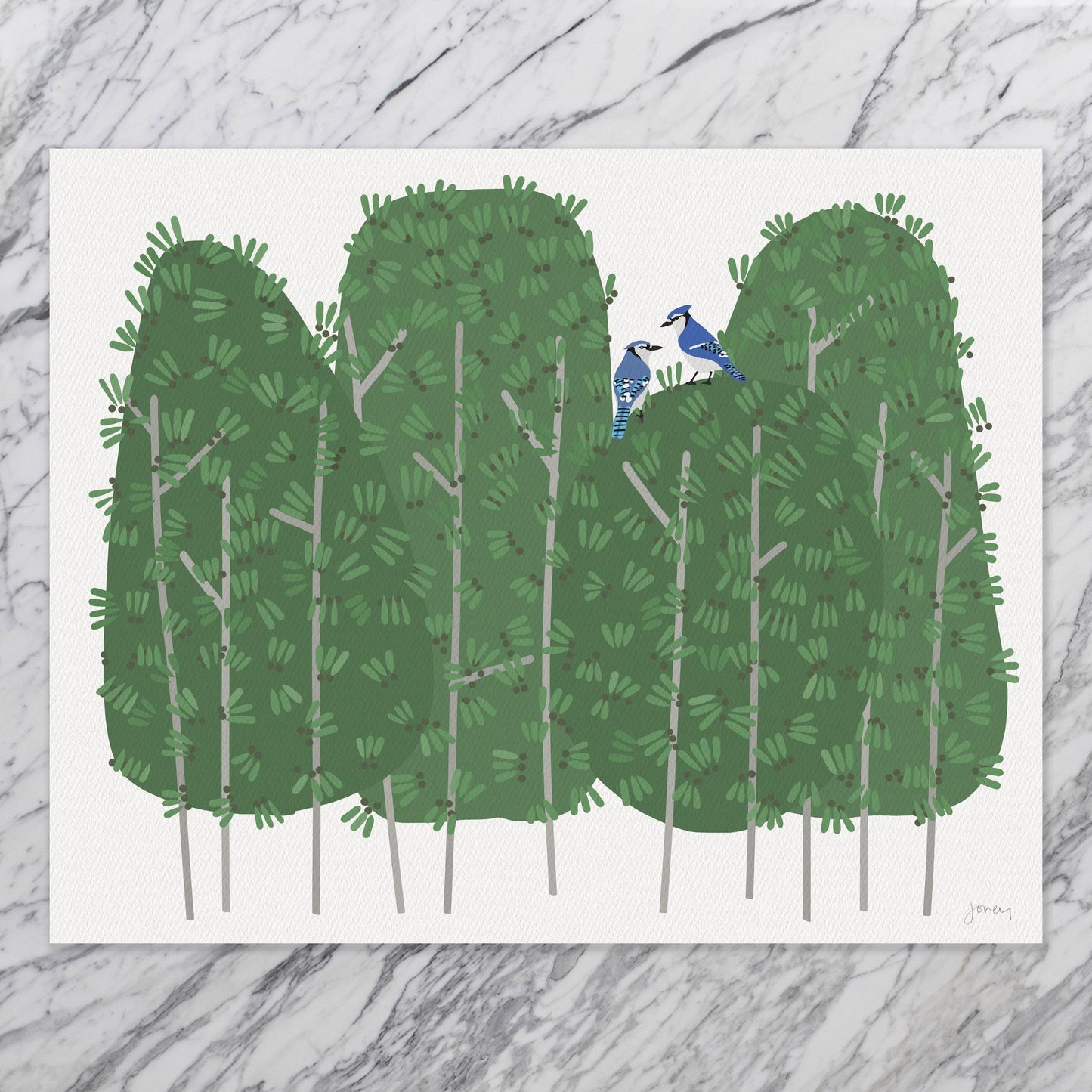 Garden Blue Jays Art Print - Unframed or Framed - 250420
