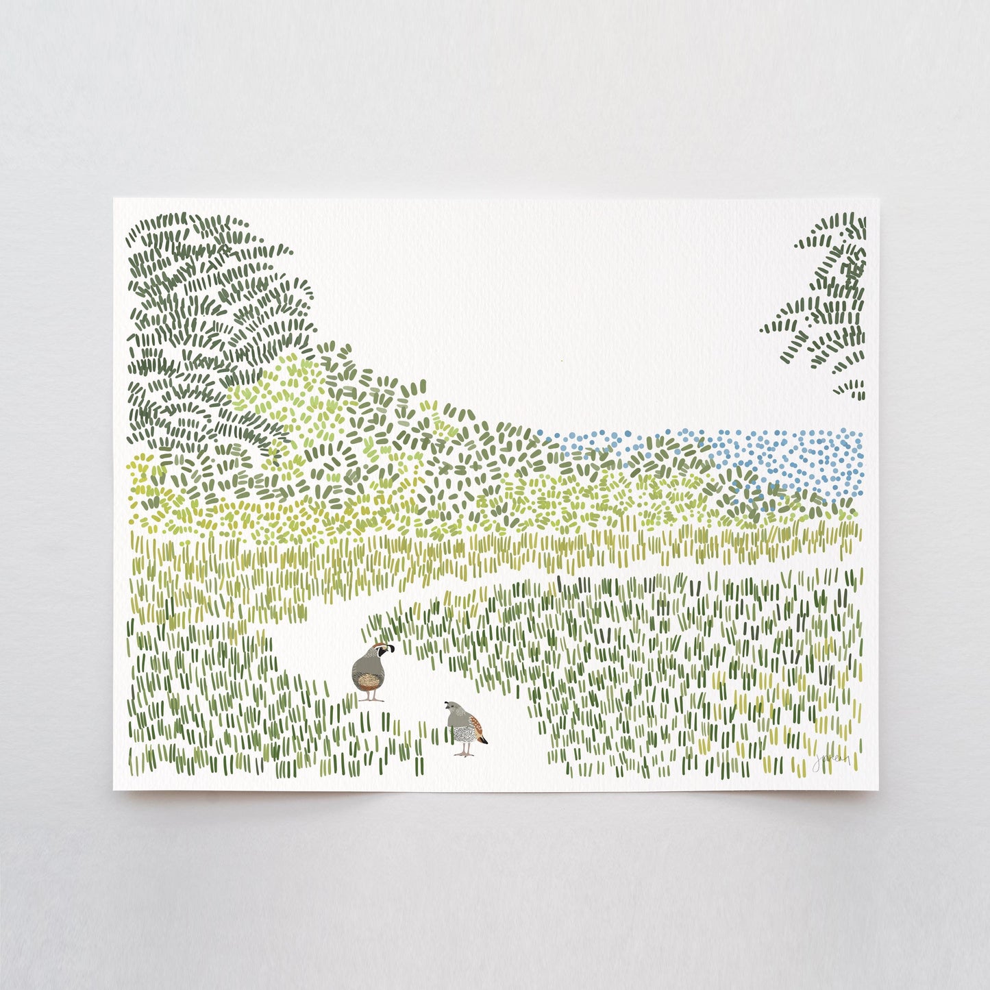 Quail on California Coast Art Print - Unframed or Framed - 240801