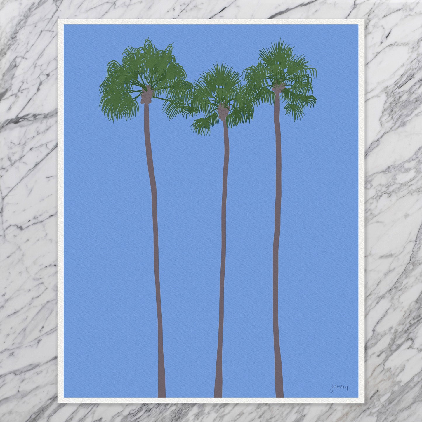 Mexican Fan Palms Trees Art Print - Unframed or Framed - 210906