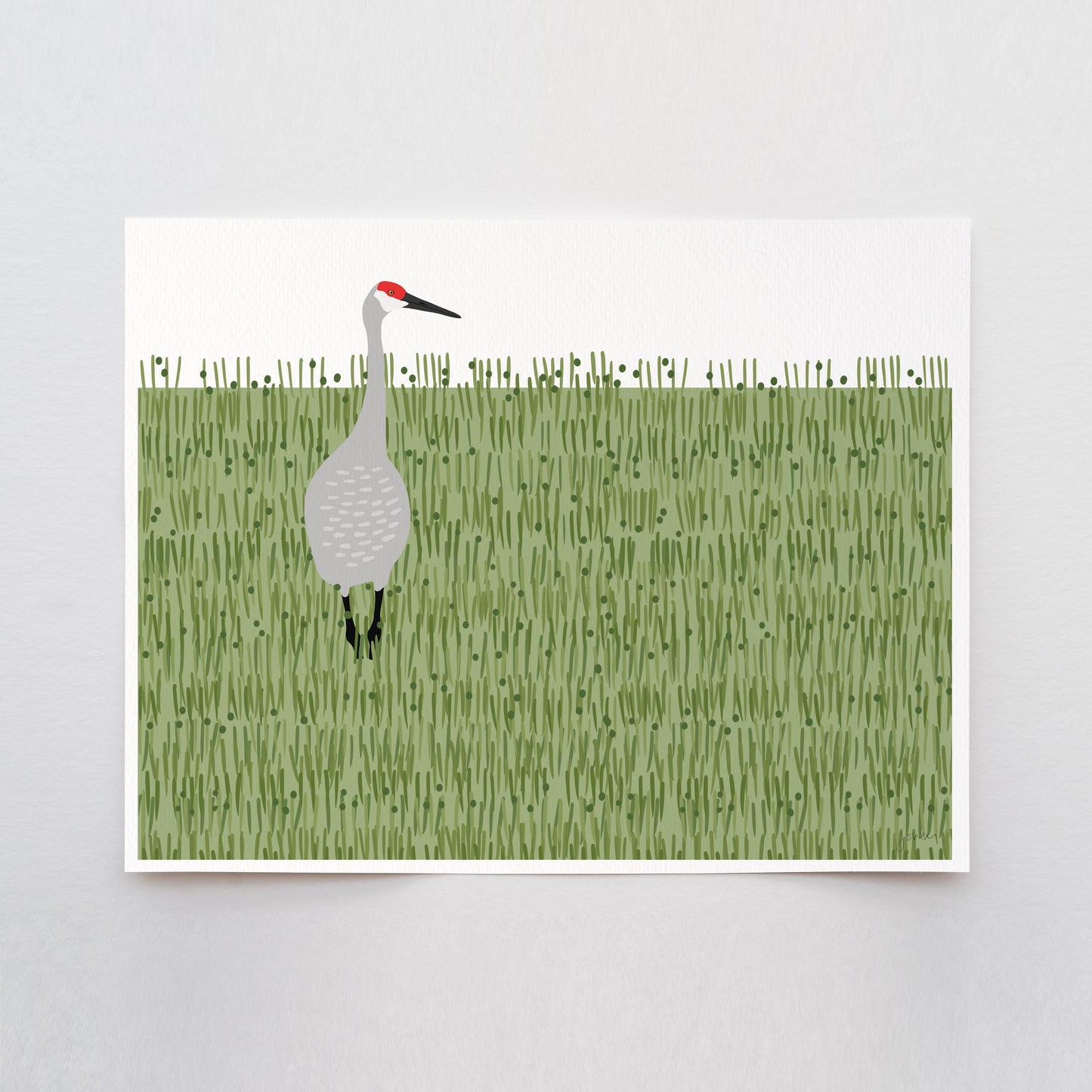 Sandhill Crane Art Print - Unframed or Framed - 241117