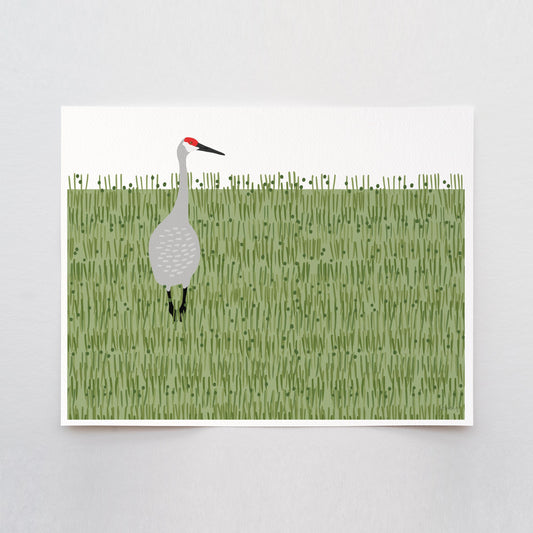 Sandhill Crane Art Print - Unframed or Framed - 241117