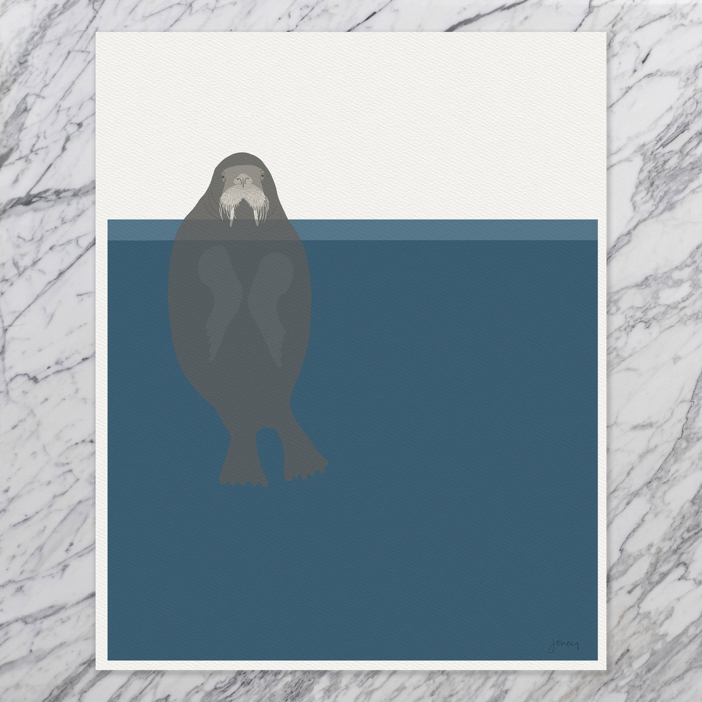 Pacific Walrus Art Print - Unframed or Framed - 170717