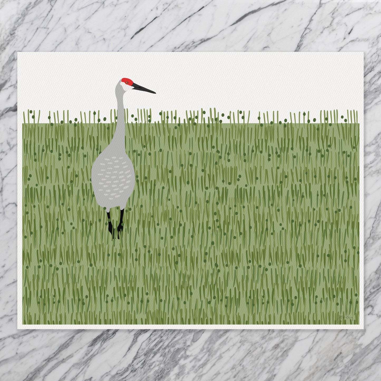 Sandhill Crane Art Print - Unframed or Framed - 241117