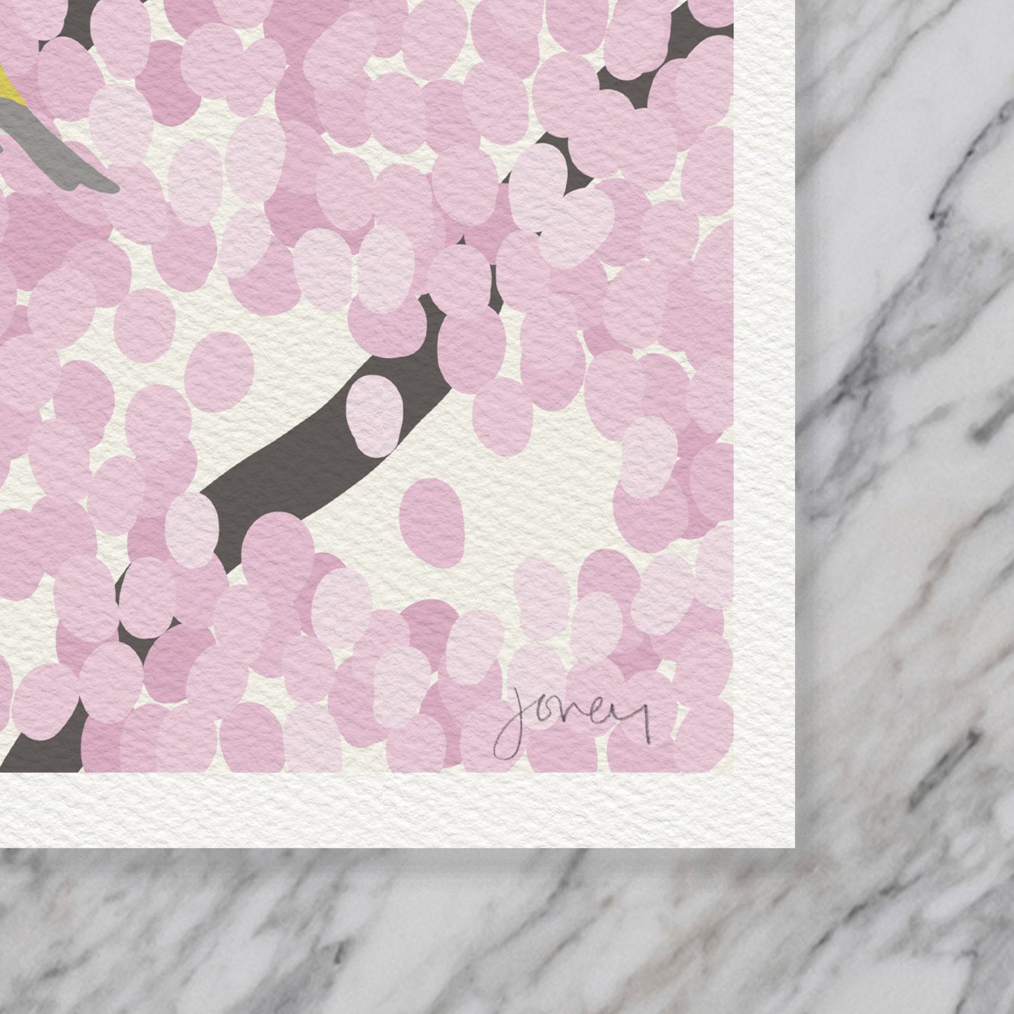 Spring Warblers in Cherry Tree Art Print - Unframed or Framed - 230422