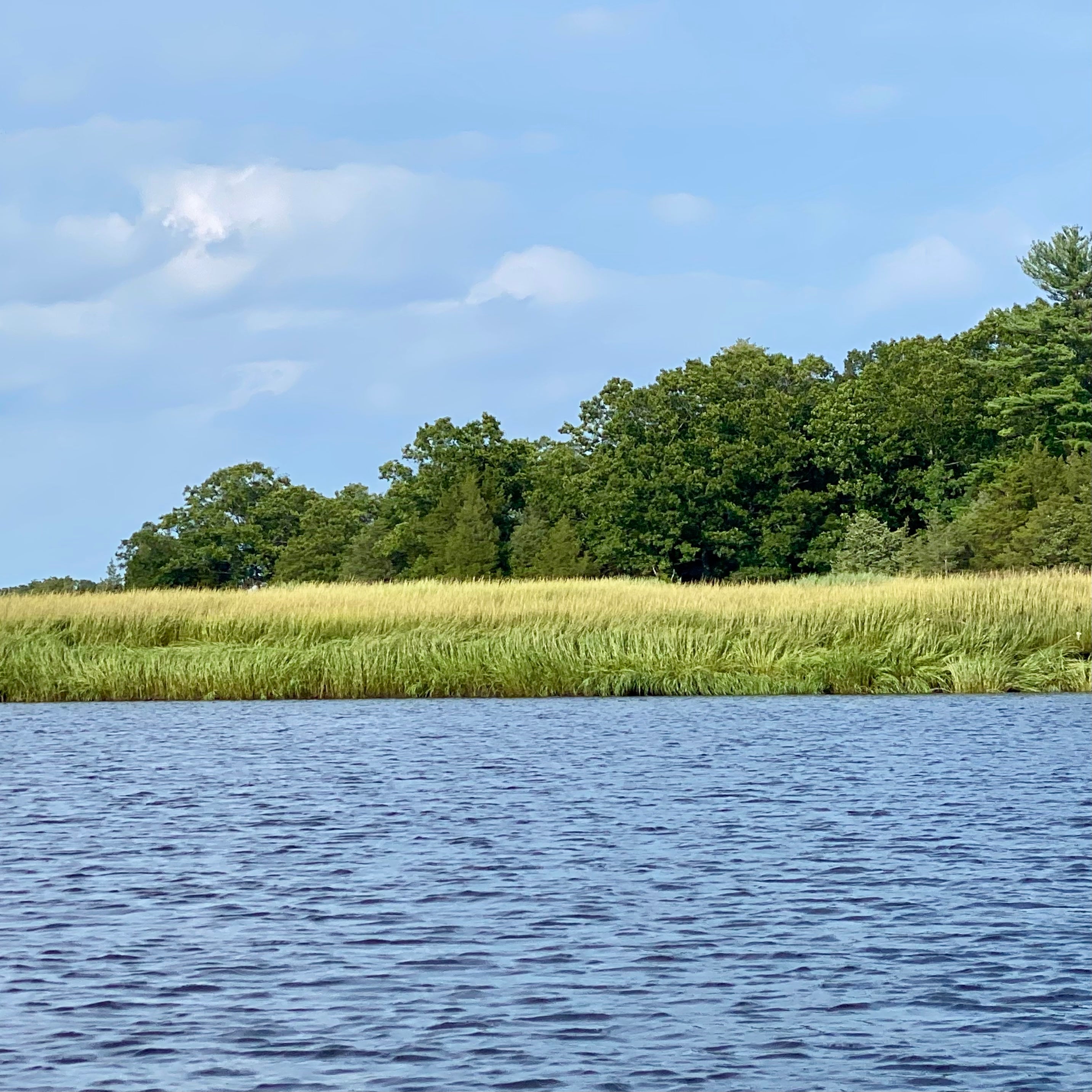 Landscape with a lake, river, wetlands and grassy area leading to trees under a blue sky.