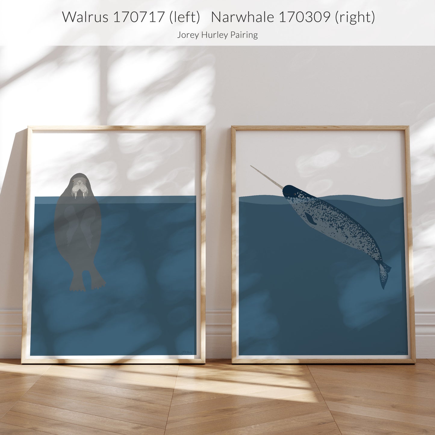 Pacific Walrus Art Print - Unframed or Framed - 170717