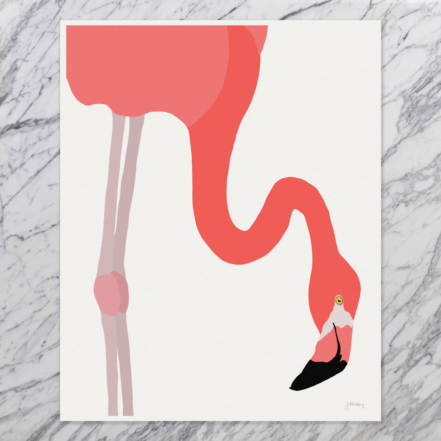 American Flamingo Art Print - Unframed or Framed - 230117