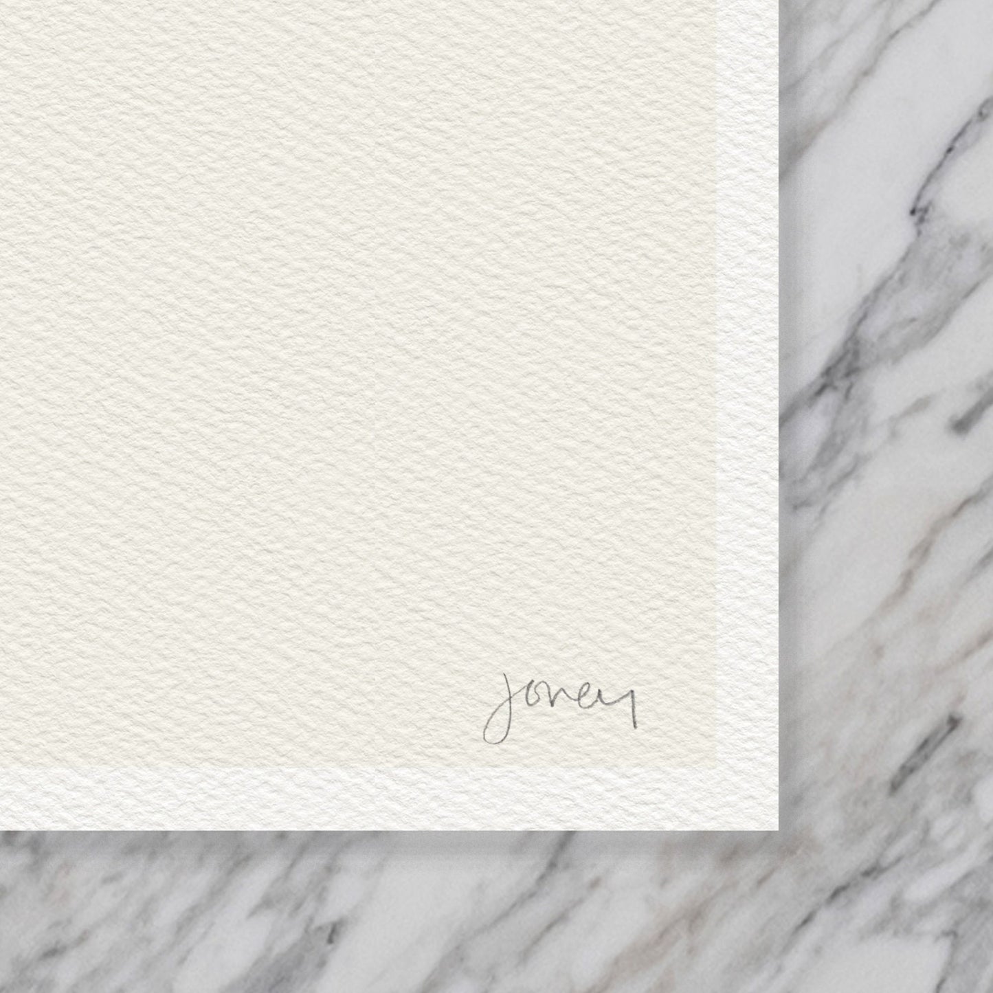 Botanical Line Drawing Art Print - Unframed or Framed -140905