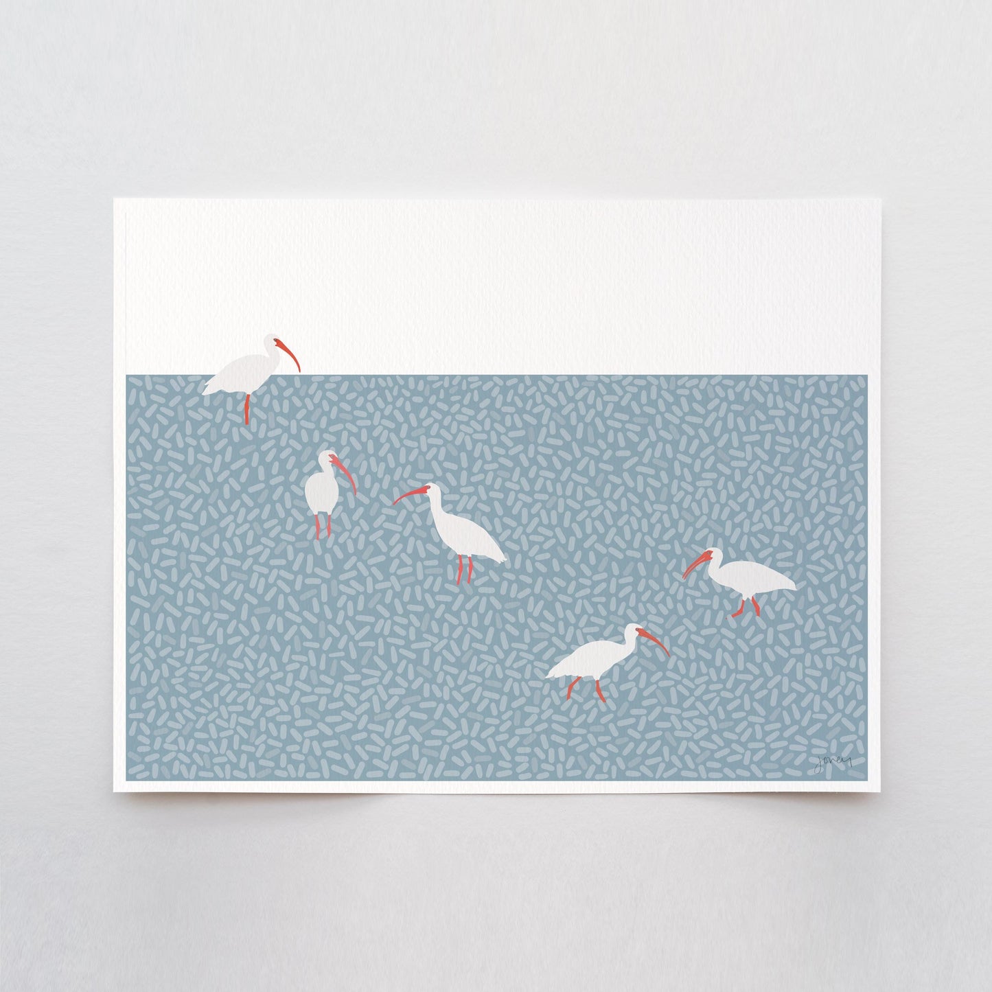 American White Ibis Art Print - Unframed or Framed - 241215