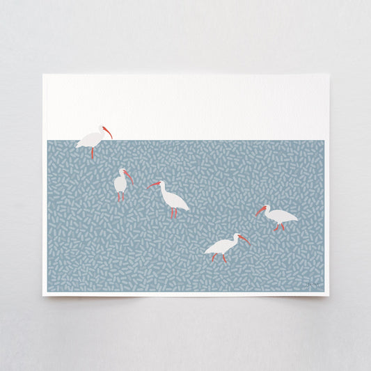 American White Ibis Art Print - Unframed or Framed - 241215