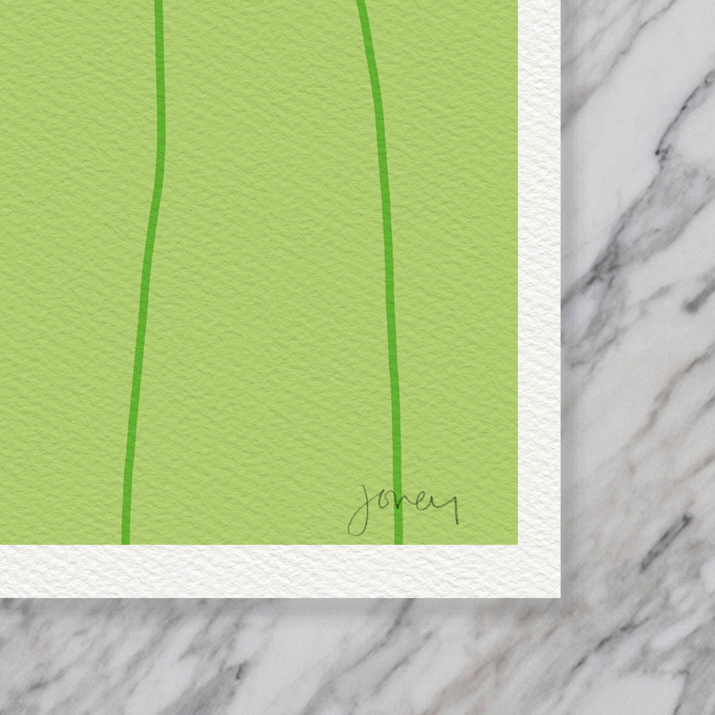 Queen Anne's Lace Art Print - Unframed or Framed - 110801