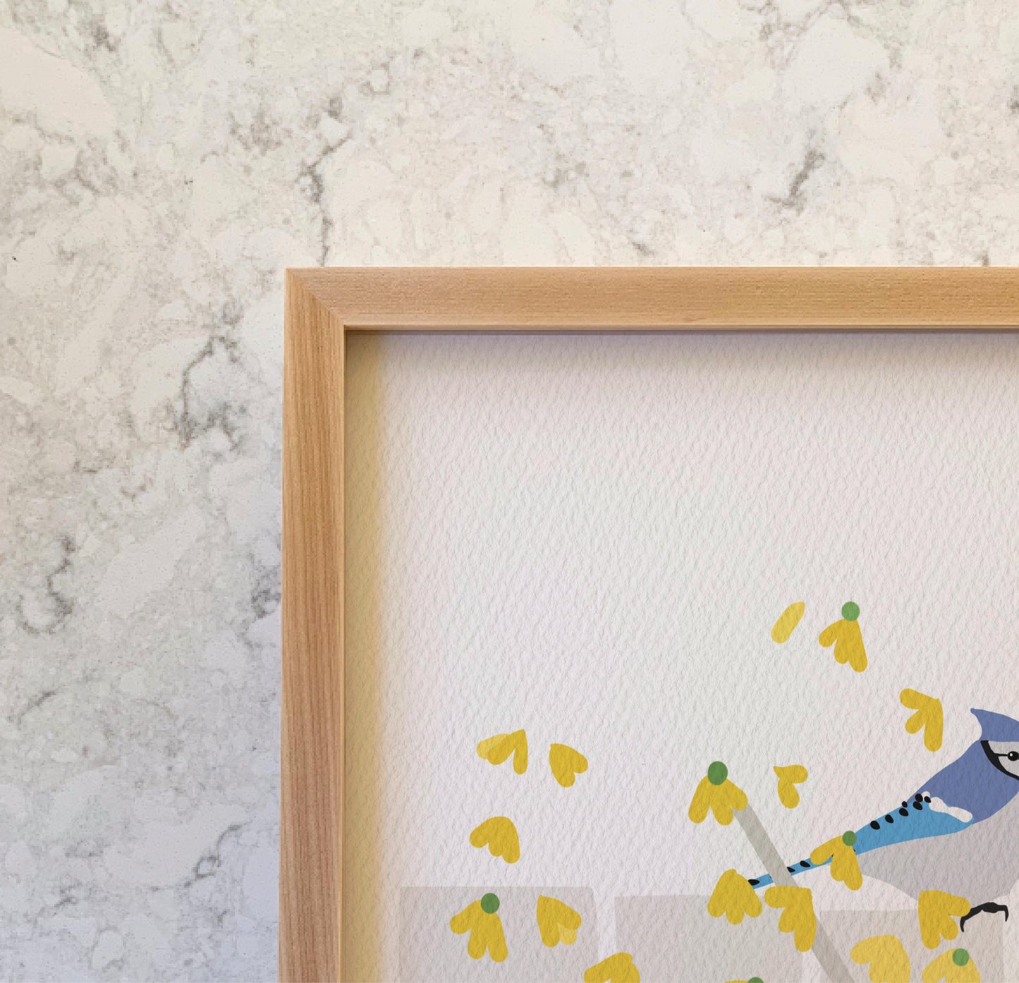 Blue Jays in Yellow Forsythia Art Print – Signed - 260426