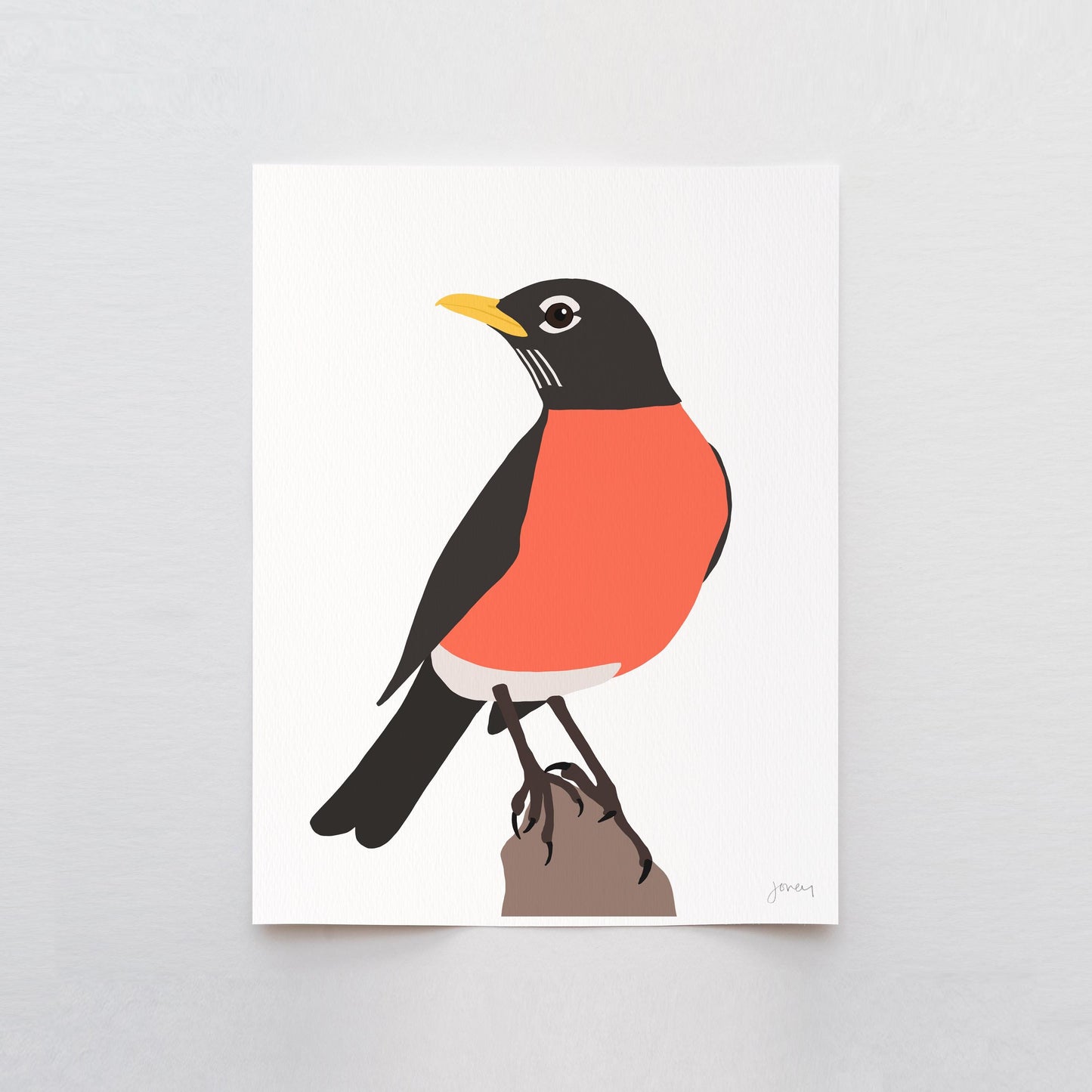 Red Breasted Robin Art Print - Unframed or Framed - 241230